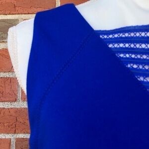 ☀️ Cynthia Steffe Sleeveless Blue Sheath Dress